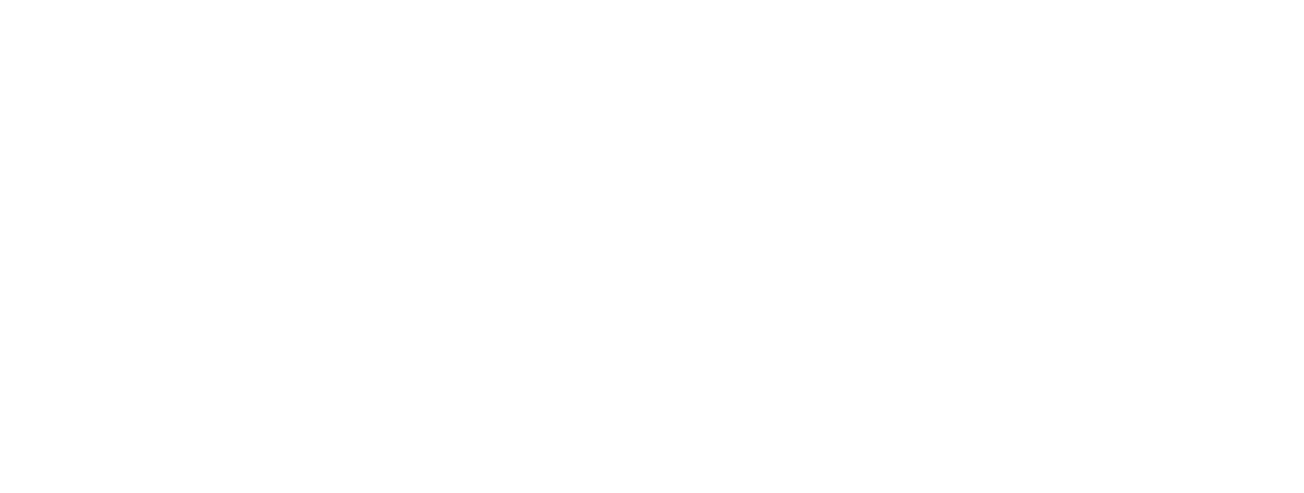 SafeGuard Impact Windows Doors & Roofing